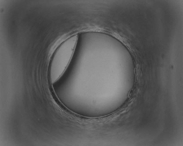 X0000074330007200608251032