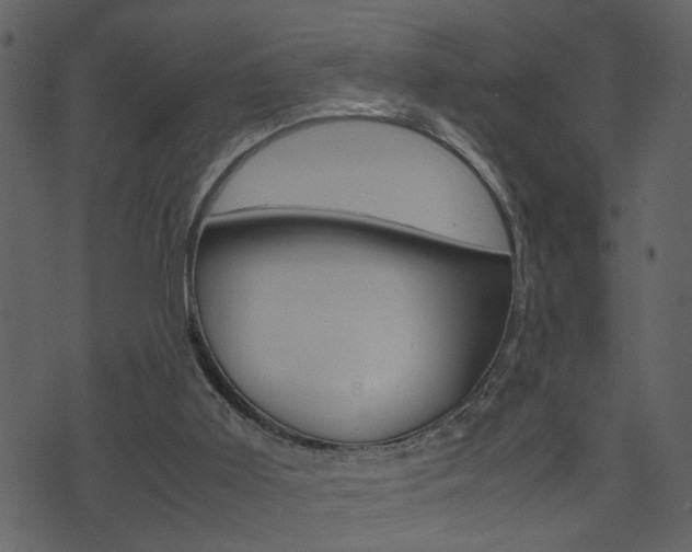 X0000074330011200608251032