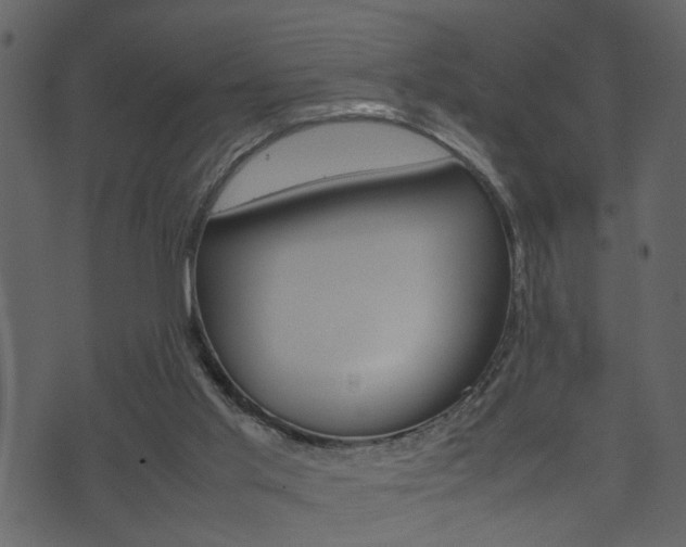 X0000074330013200608251032