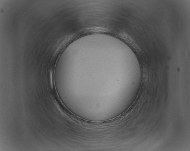 X0000074330014200608251031