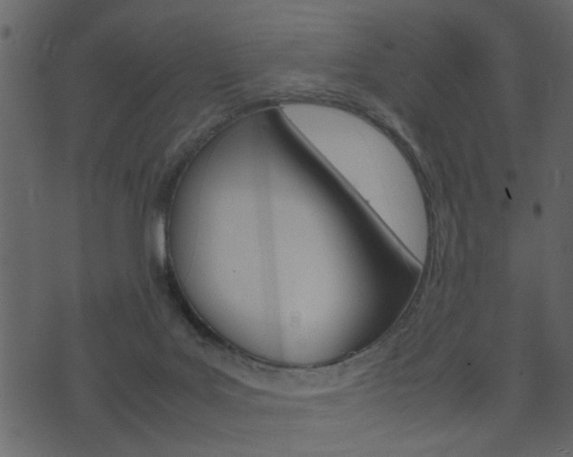 X0000074330027200608251031