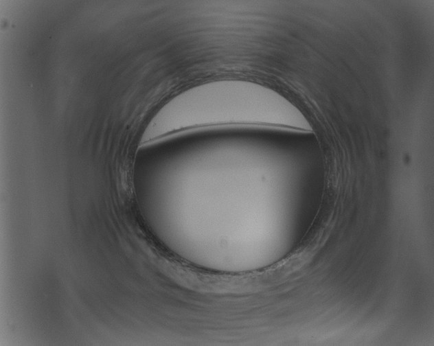 X0000074330044200608251031