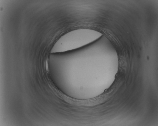 X0000074330046200608251031