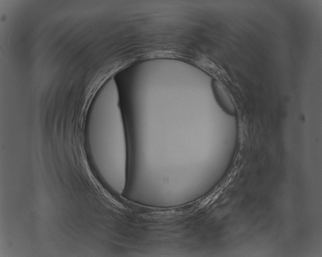 X0000074330049200608251030