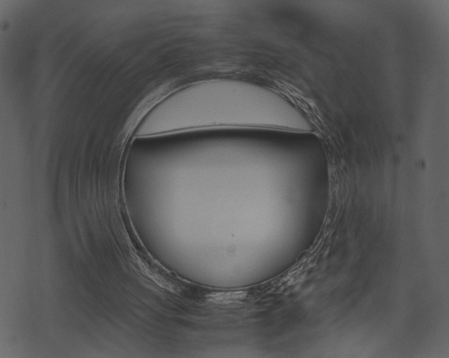 X0000074330051200608251030