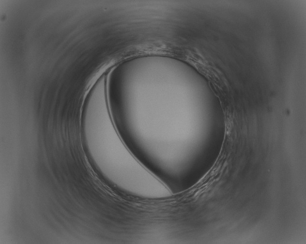 X0000074330052200608251030