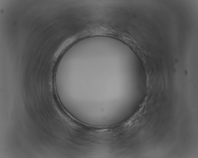 X0000074330054200608251030