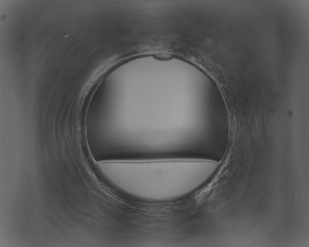 X0000074330055200608251030