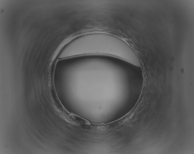 X0000074330056200608251030