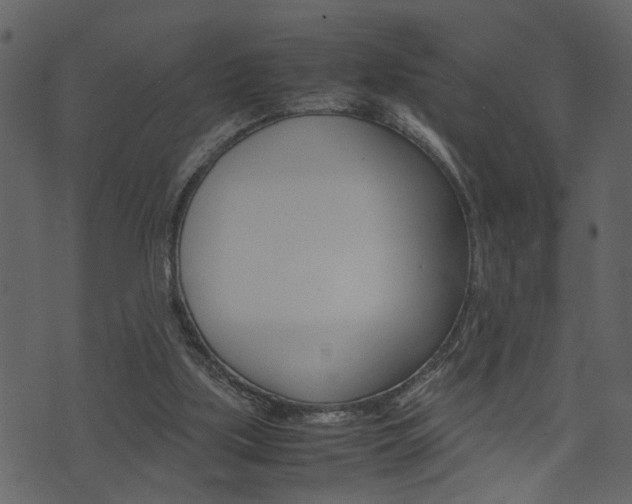 X0000074330059200608251030
