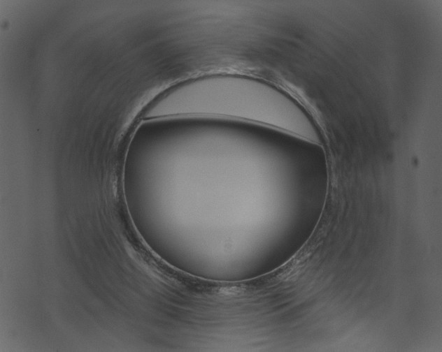X0000074330060200608251030