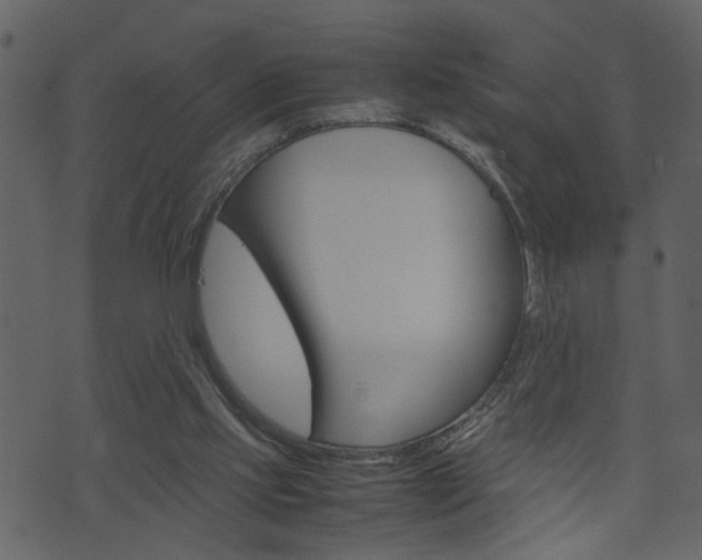 X0000074330061200608251030
