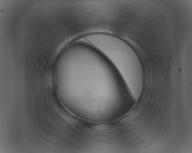 X0000074330064200608251030