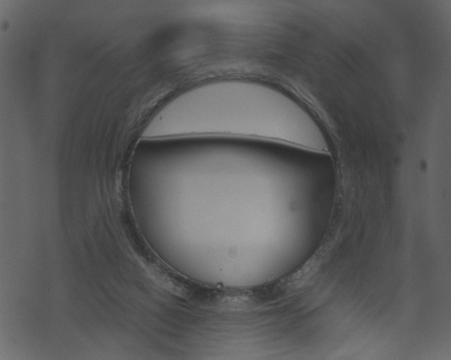 X0000074330066200608251030