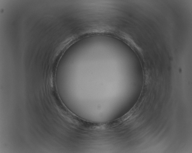 X0000074330068200608251030