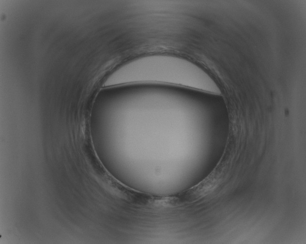X0000074330072200608251031