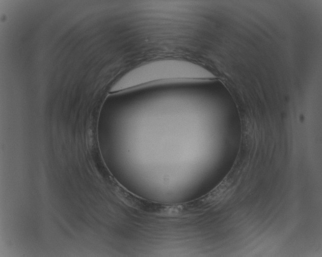 X0000074330080200608251031