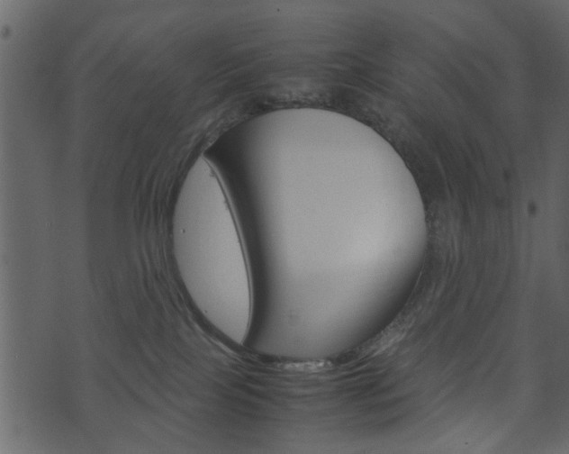 X0000074330089200608251031