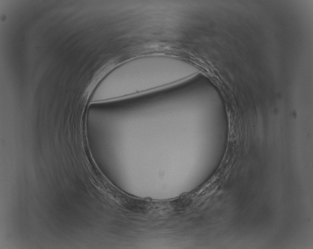 X0000074330099200608251030