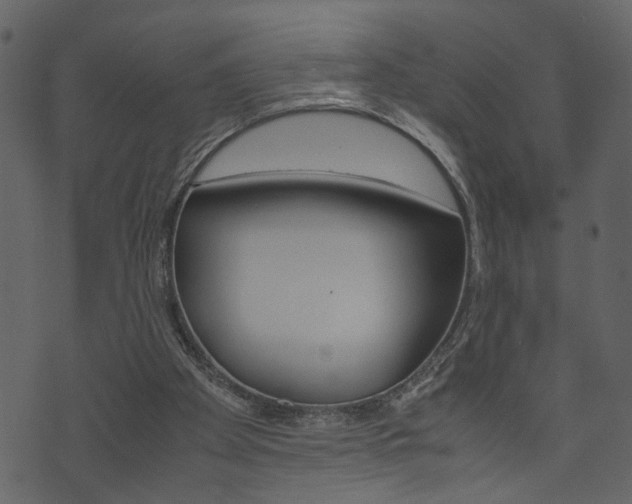X0000074330105200608251030