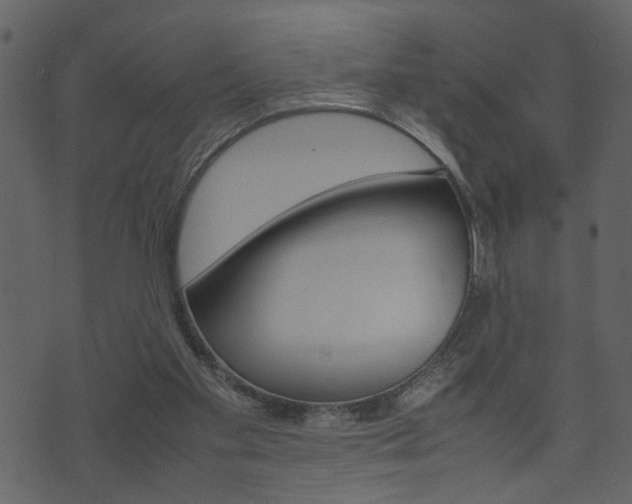 X0000074330109200608251030