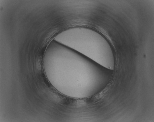 X0000074330114200608251030