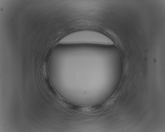 X0000074330121200608251030
