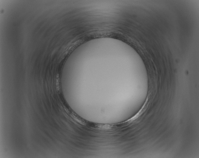 X0000074330144200608251029