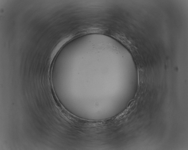 X0000074330147200608251029
