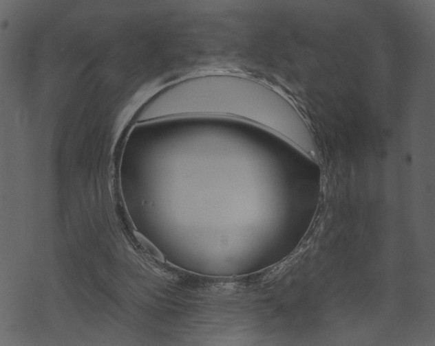X0000074330152200608251029