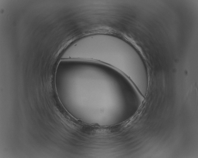 X0000074330154200608251029