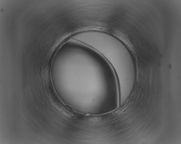 X0000074330156200608251029