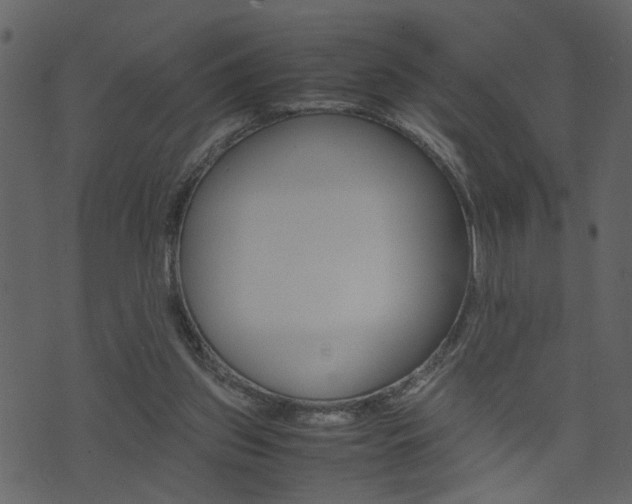 X0000074330157200608251029