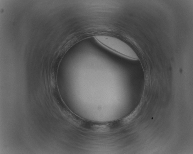 X0000074330170200608251029