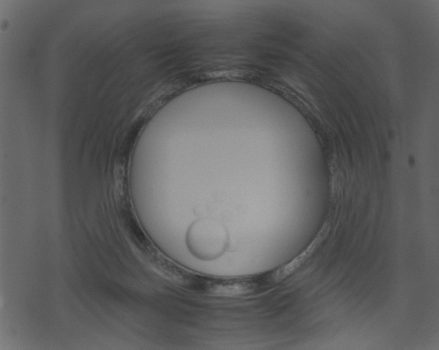 X0000074330171200608251029