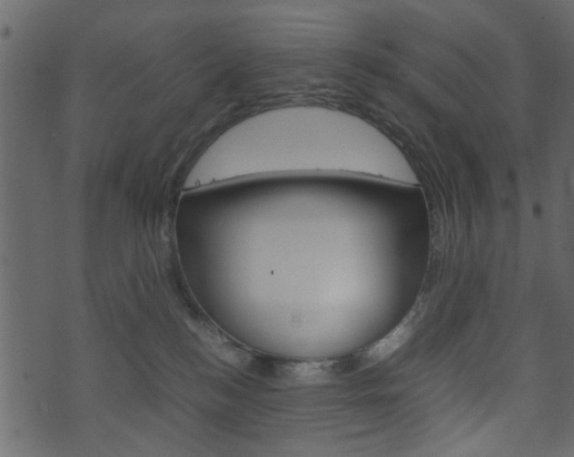 X0000074330184200608251029