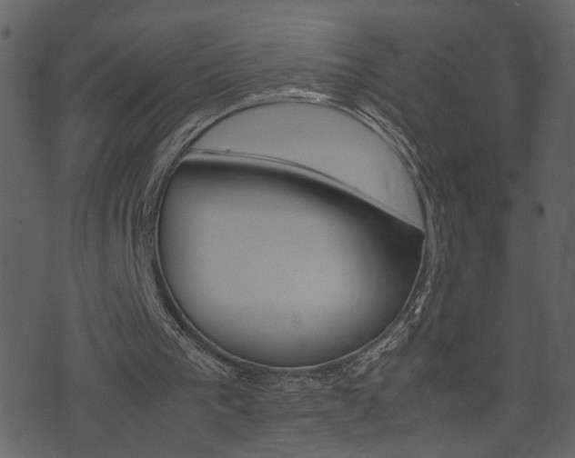X0000074330193200608251029