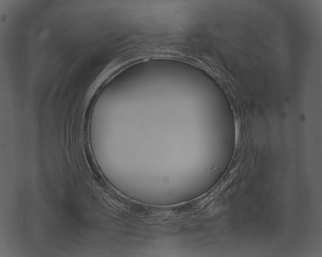X0000074330195200608251029