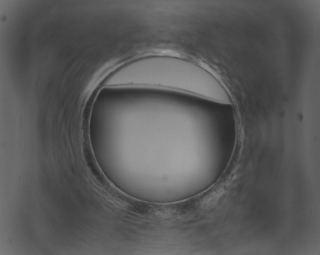 X0000074330199200608251028