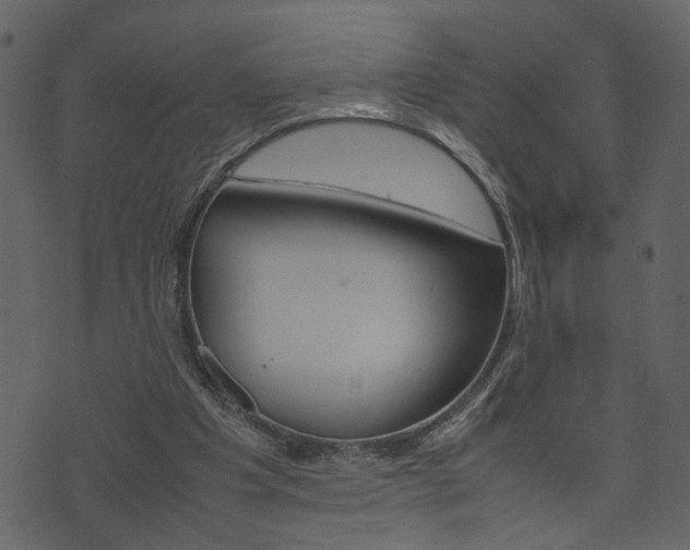 X0000074330201200608251028