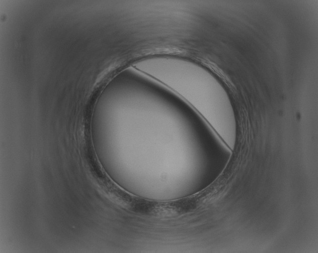X0000074330207200608251028