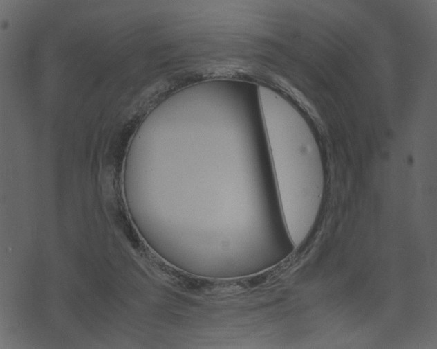 X0000074330209200608251028