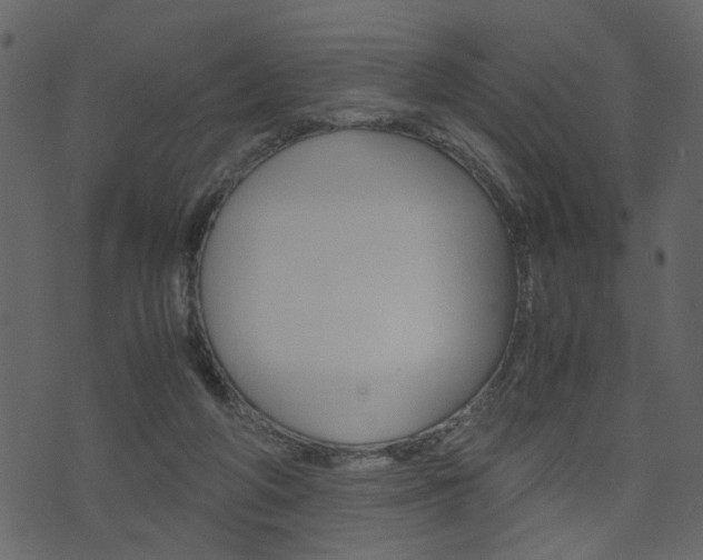 X0000074330210200608251028