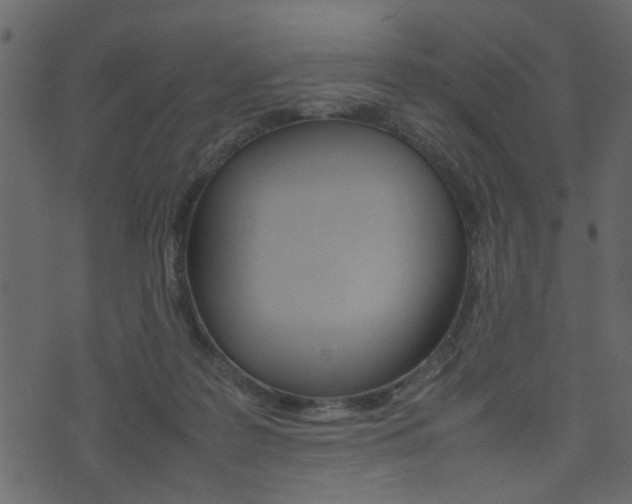 X0000074330219200608251028