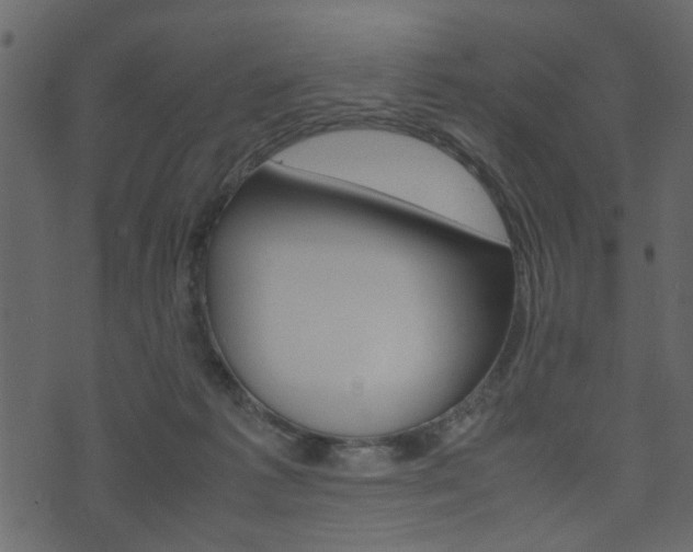 X0000074330221200608251028
