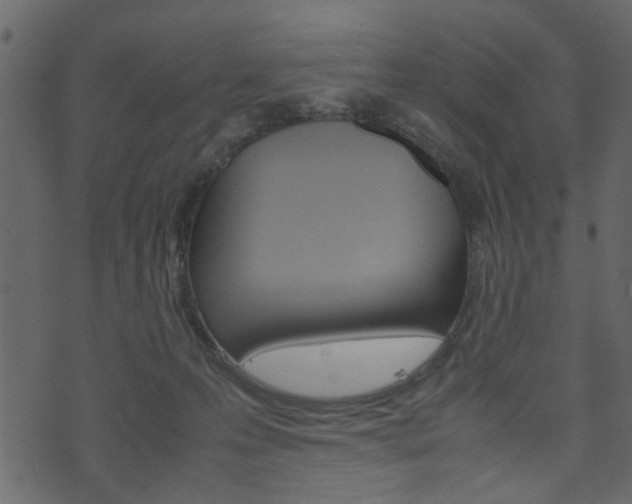 X0000074330223200608251028