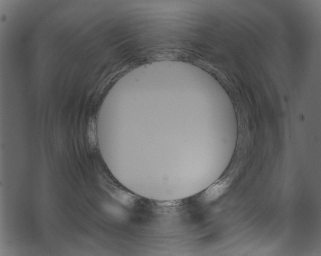 X0000074330240200608251028