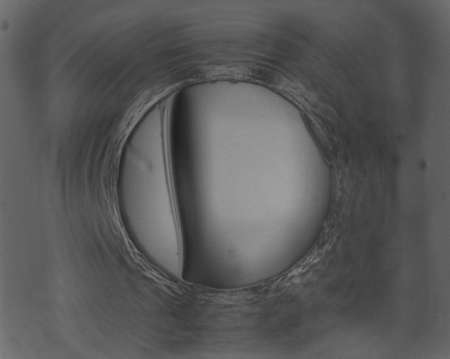 X0000074330241200608251027