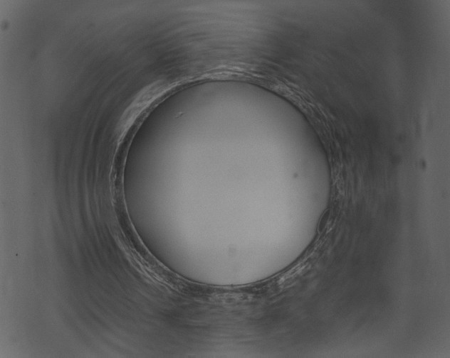 X0000074330242200608251027