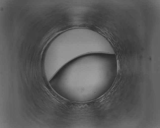 X0000074330243200608251027